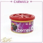 خوشبو کننده کنسروی اورفرش با 6 رایحه مختلف Ever Fresh Can - Image 4