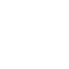 نظام صنفی