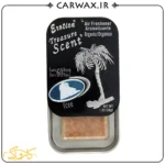 خوشبو کننده کنسروی خودرو اگزاتیکا یخ Exotica Treasure Scent Exotica Ice - Image 2